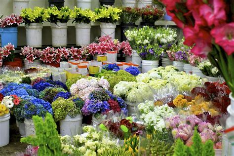 淮安哪裏有花店：繁盛的花卉市场与城市的浪漫角落